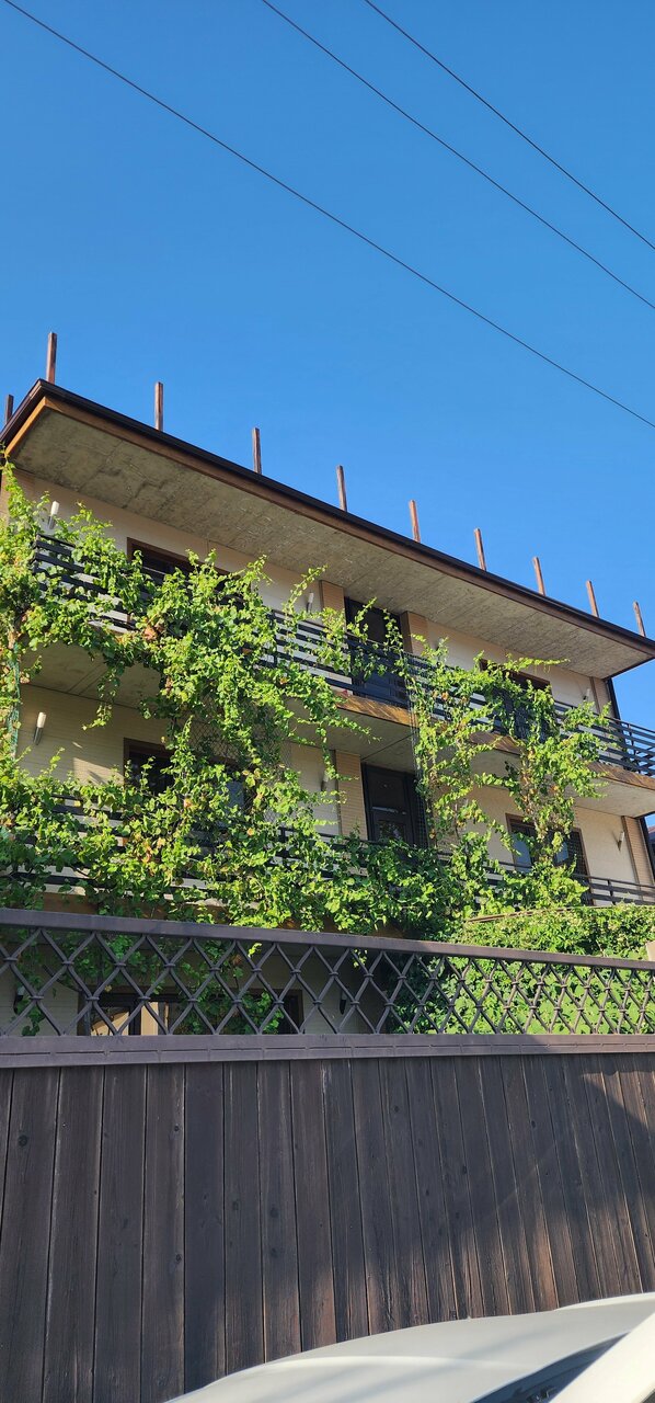 Гостевой дом Сакартвело Архипо-Осиповка-71