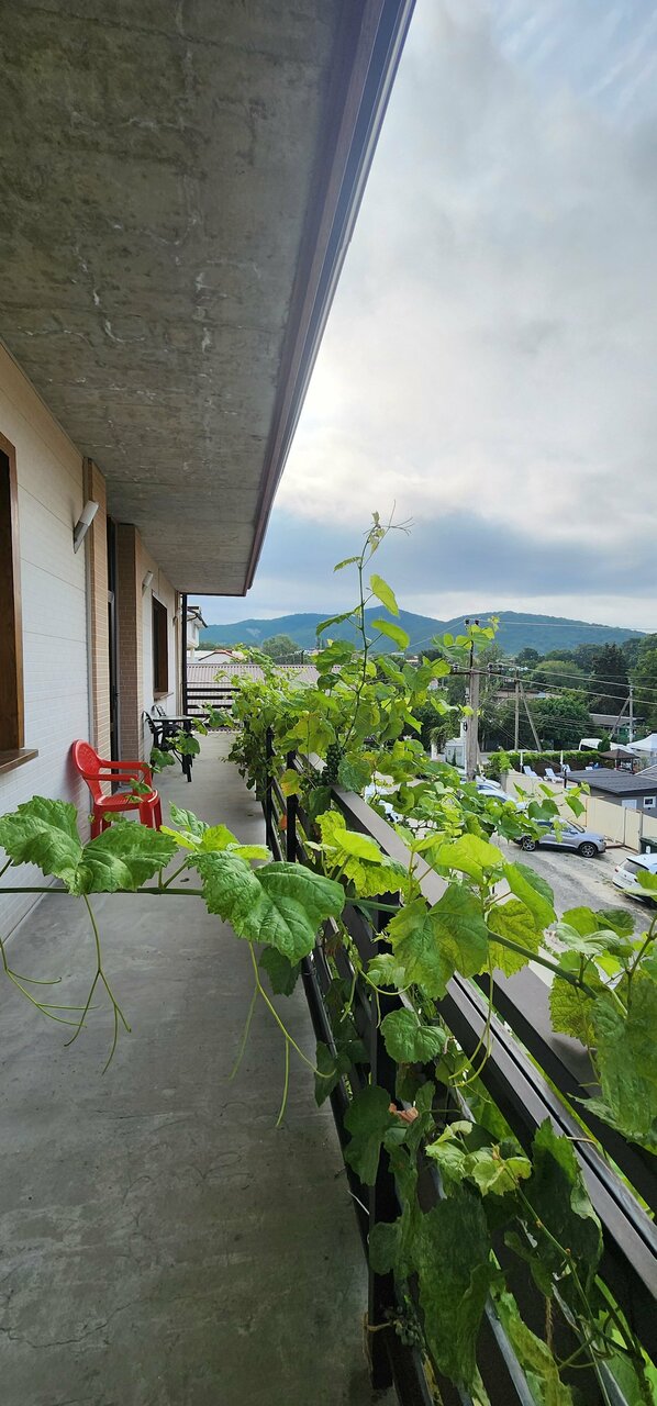 Гостевой дом Сакартвело Архипо-Осиповка