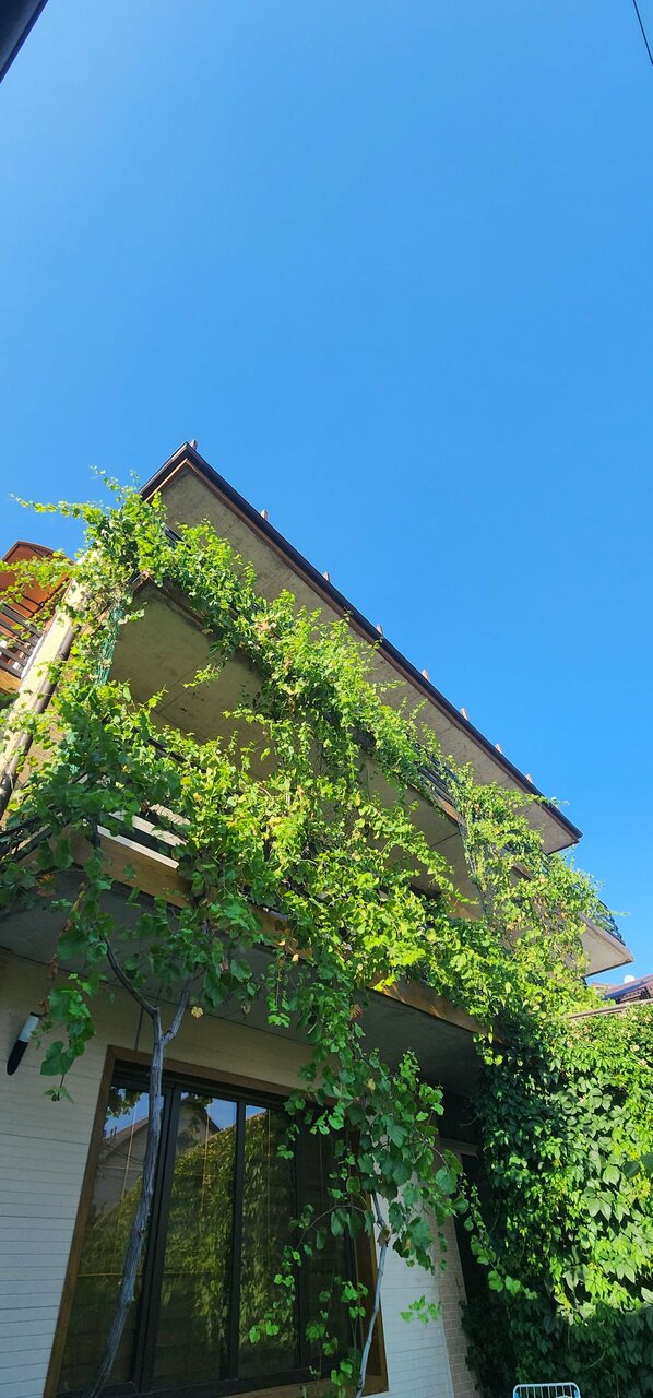 Гостевой дом Сакартвело Архипо-Осиповка-7