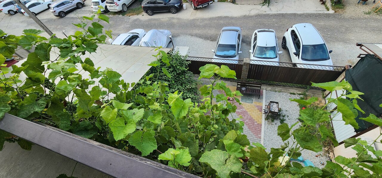 Гостевой дом Сакартвело Архипо-Осиповка-8